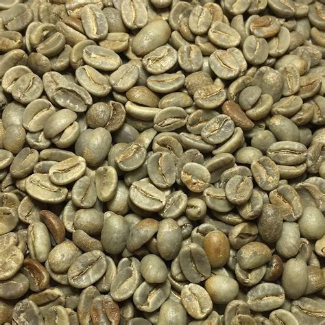 papua new guinea green coffee beans